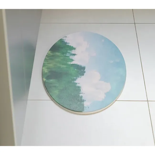 DAILYLIKE Diatomite Bath Mat - Pond - 4