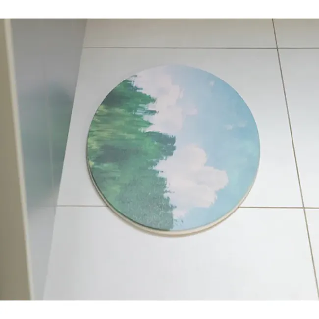 DAILYLIKE Diatomite Bath Mat - Pond - 4
