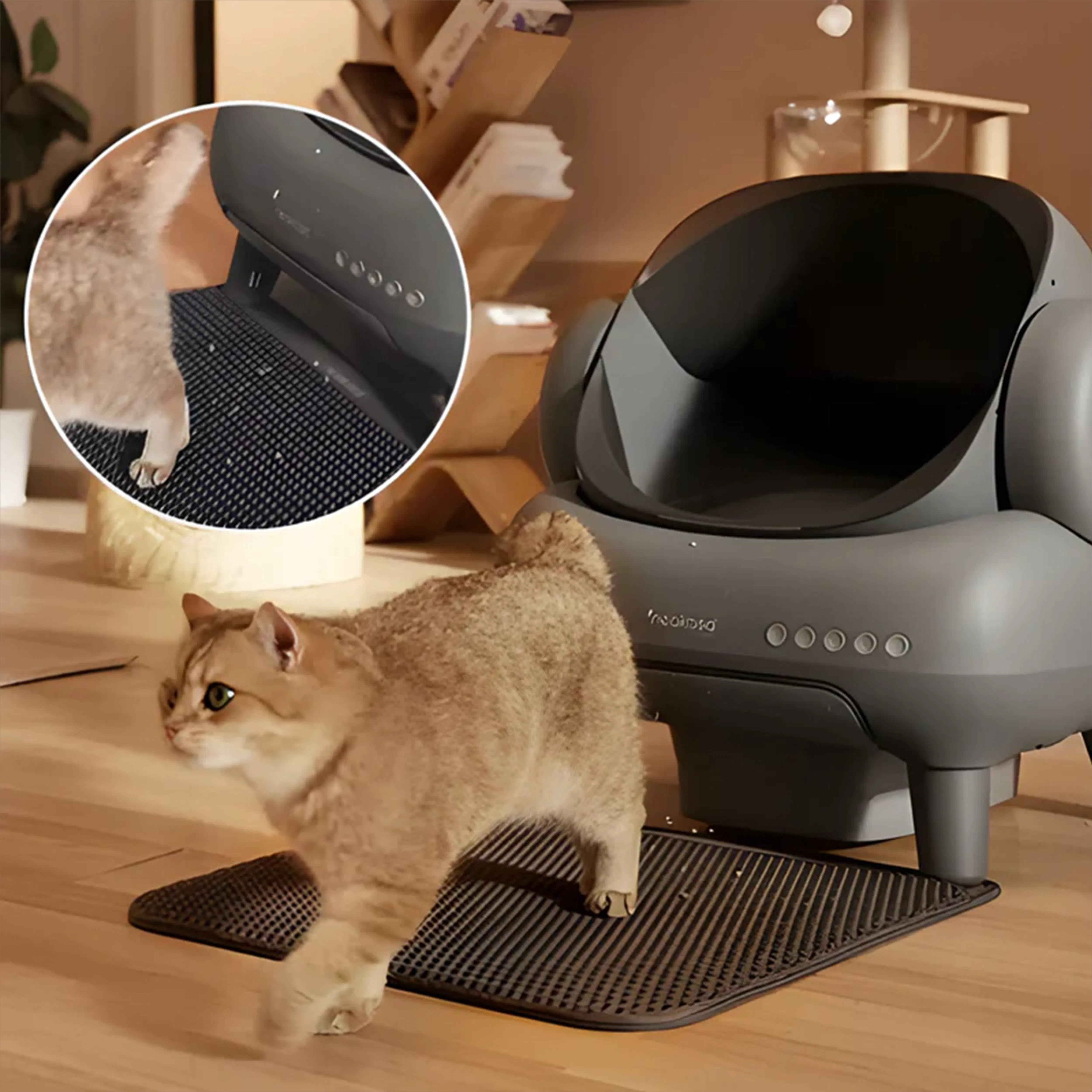 Neakasa M1 Plus (Upgraded) Open-Top Self-Cleaning Automatic Cat Litter Box - 10
