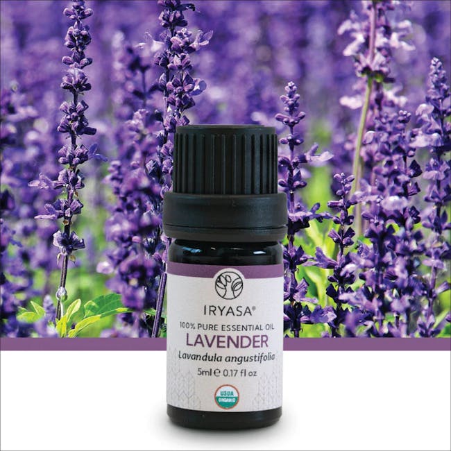 Iryasa Organic Lavender Essential Oil - 4