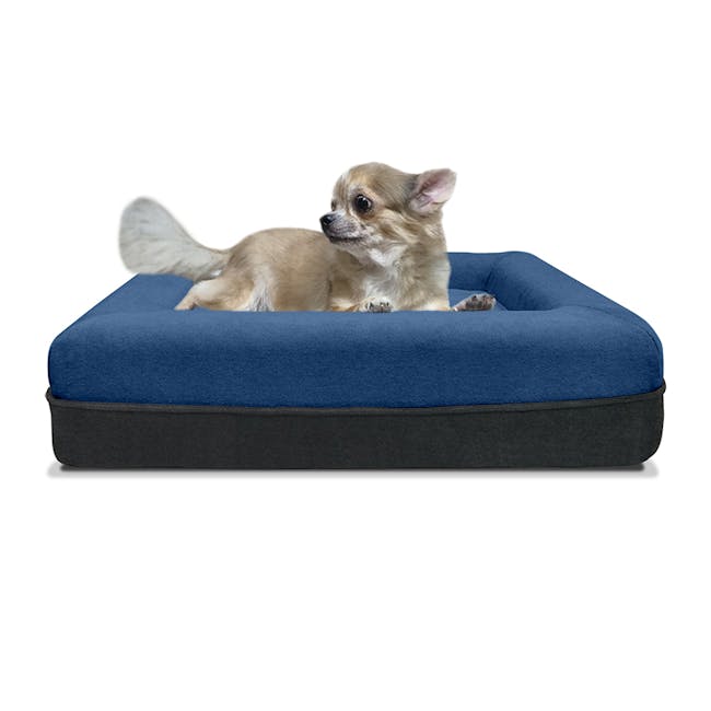 Snooze Doggie Dog Bed - Blue (3 Sizes) - 1