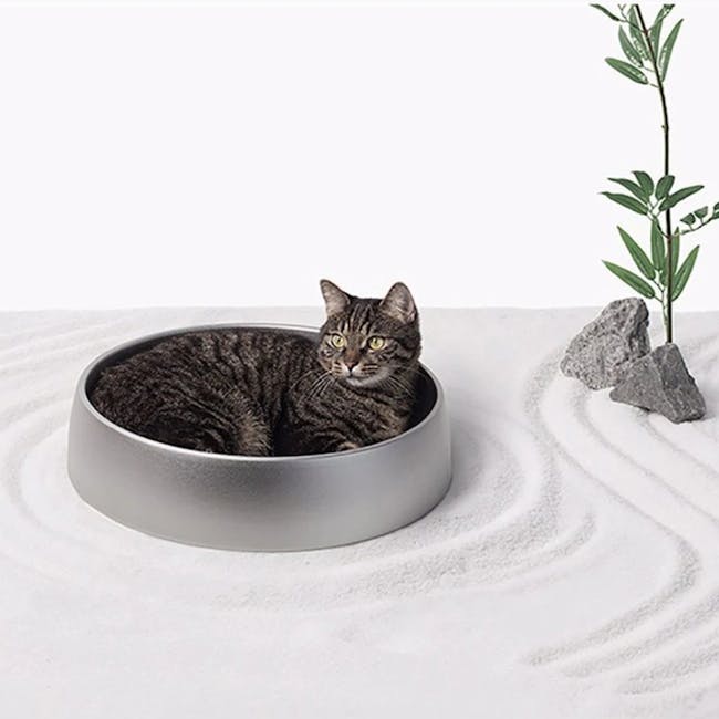 Pidan Pet Cooling Bed - Karesansui - 2 - Grey metal cat bed, tabby cat, cozy resting spot, naturalistic design, indoor pet