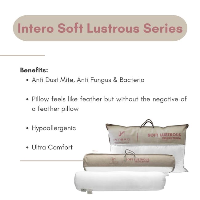 Intero Soft Lustrous Bolster - 1