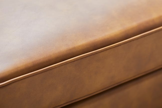 Cadencia 2 Seater Sofa - Tan (Faux Leather) - 11