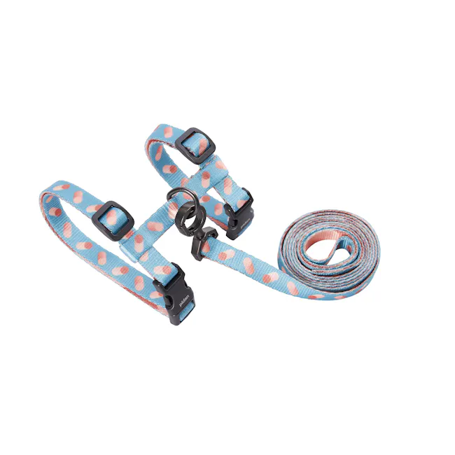 Pidan Cat Harness with Matching Leash - Dotty - 1 - - Blue pet harness with polka dots, black buckle, adjustable straps
