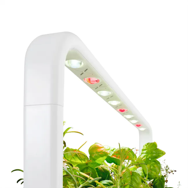 Click & Grow Smart Garden 9 - White - 3