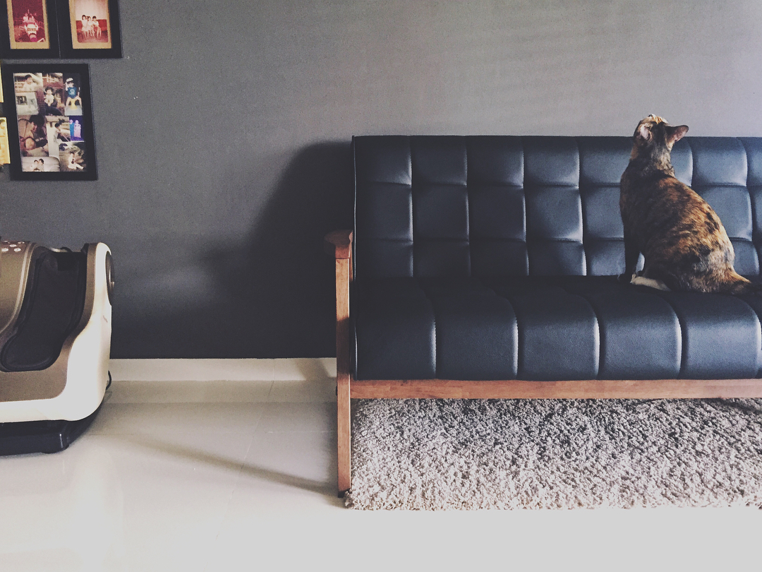 Customer home photo 2