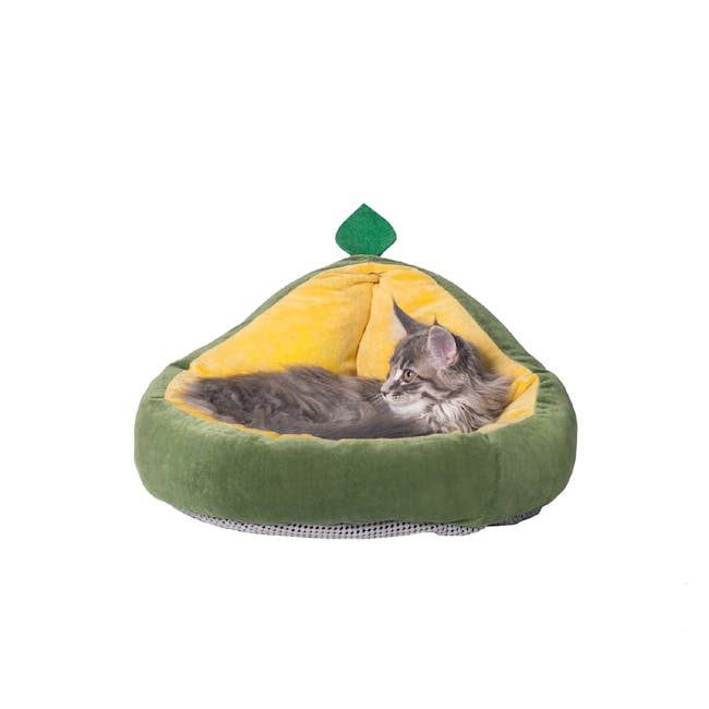 Pidan Avocado Pet Bed - 0