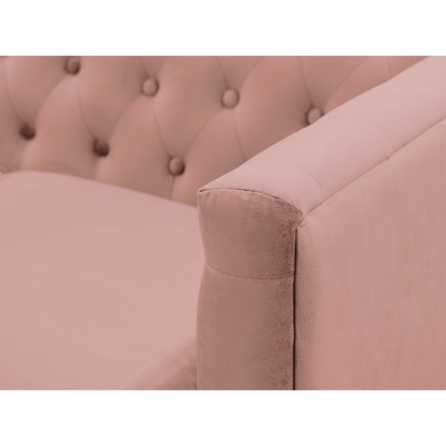 Cadencia 3 Seater Sofa - Blush (Velvet) - 6