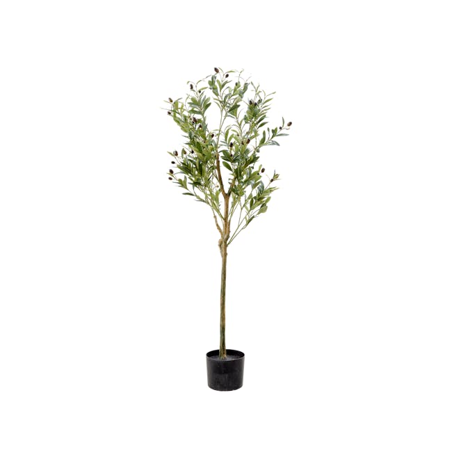 Potted Faux Fiddle Olive Tree 150 cm - 0