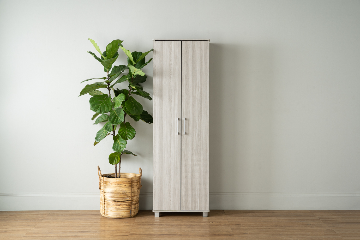 Everett 2 Door Tall Shoe Grey, HV Basic Storage & Accent