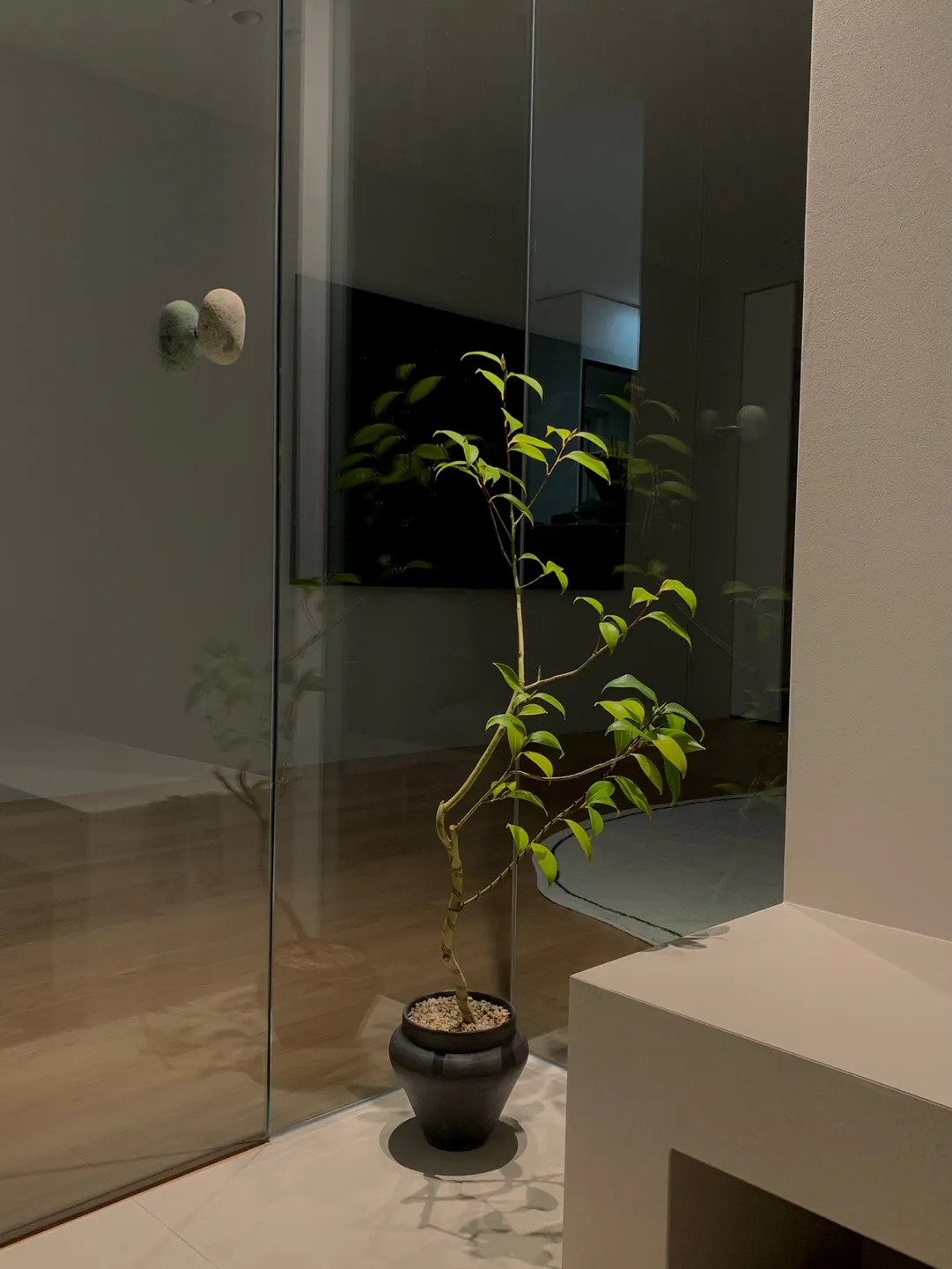 Customer home photo 4