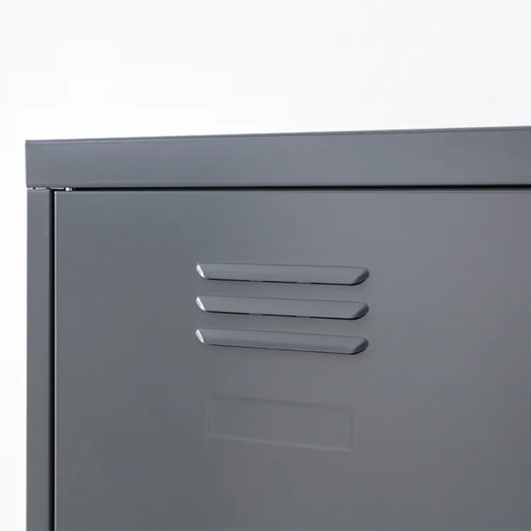 (As-is) Olavi Metal Wardrobe with 2 Drawers - Dark Grey - 17