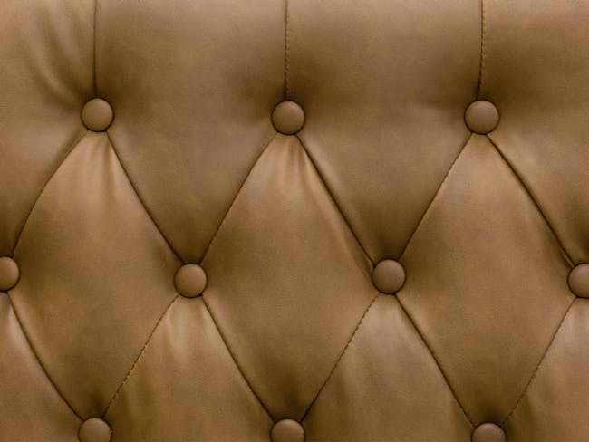 Cadencia 2 Seater Sofa with Cadencia Armchair - Tan (Faux Leather) - 8