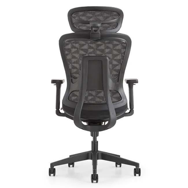 ErgoLuxe Ergonomic Chair V2 - Black - 5