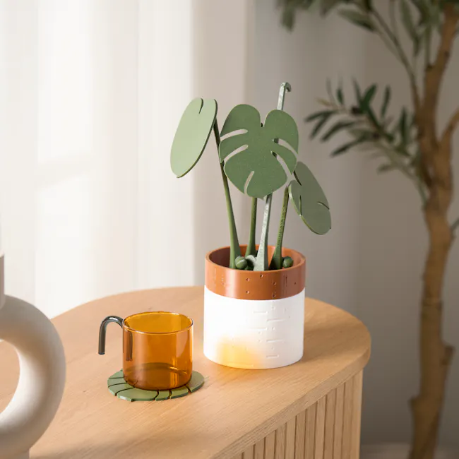 Monstera Coaster Plant with Magnetic Leaves - Forest Green - 2