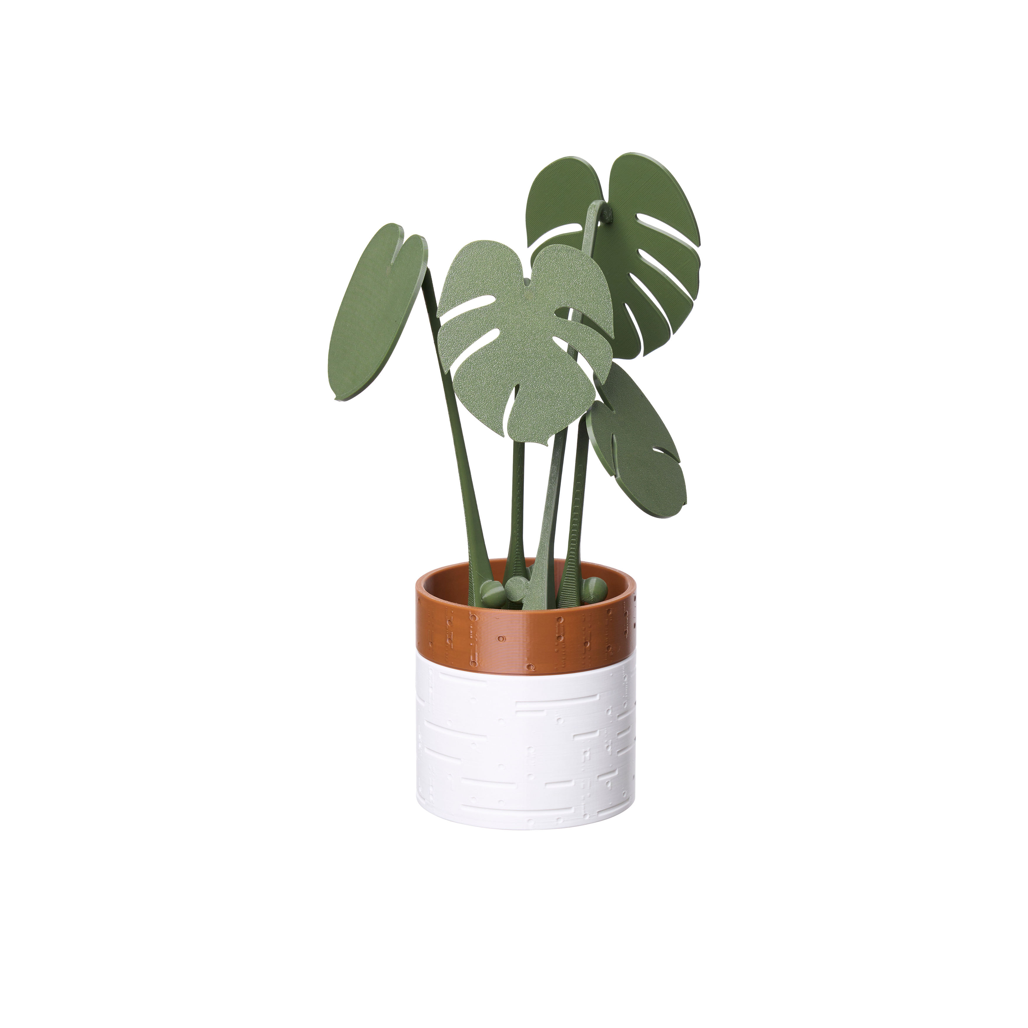 Monstera Coaster Plant with Magnetic Leaves - Forest Green