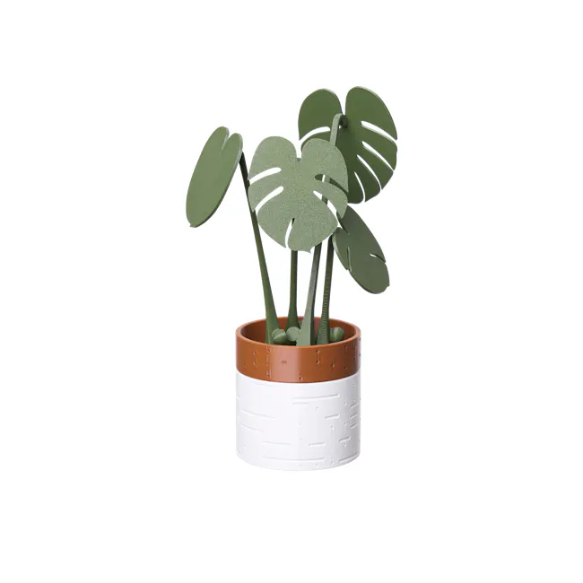 Monstera Coaster Plant with Magnetic Leaves - Forest Green - 1