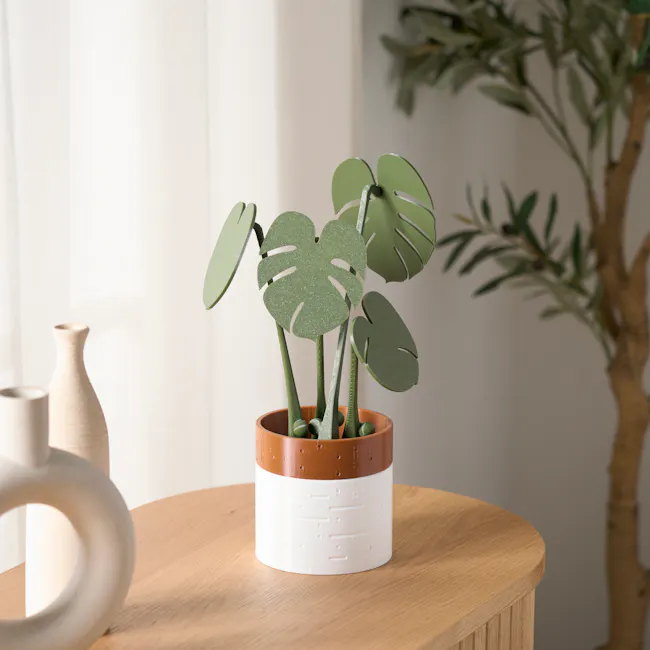 Monstera Coaster Plant with Magnetic Leaves - Forest Green - 4