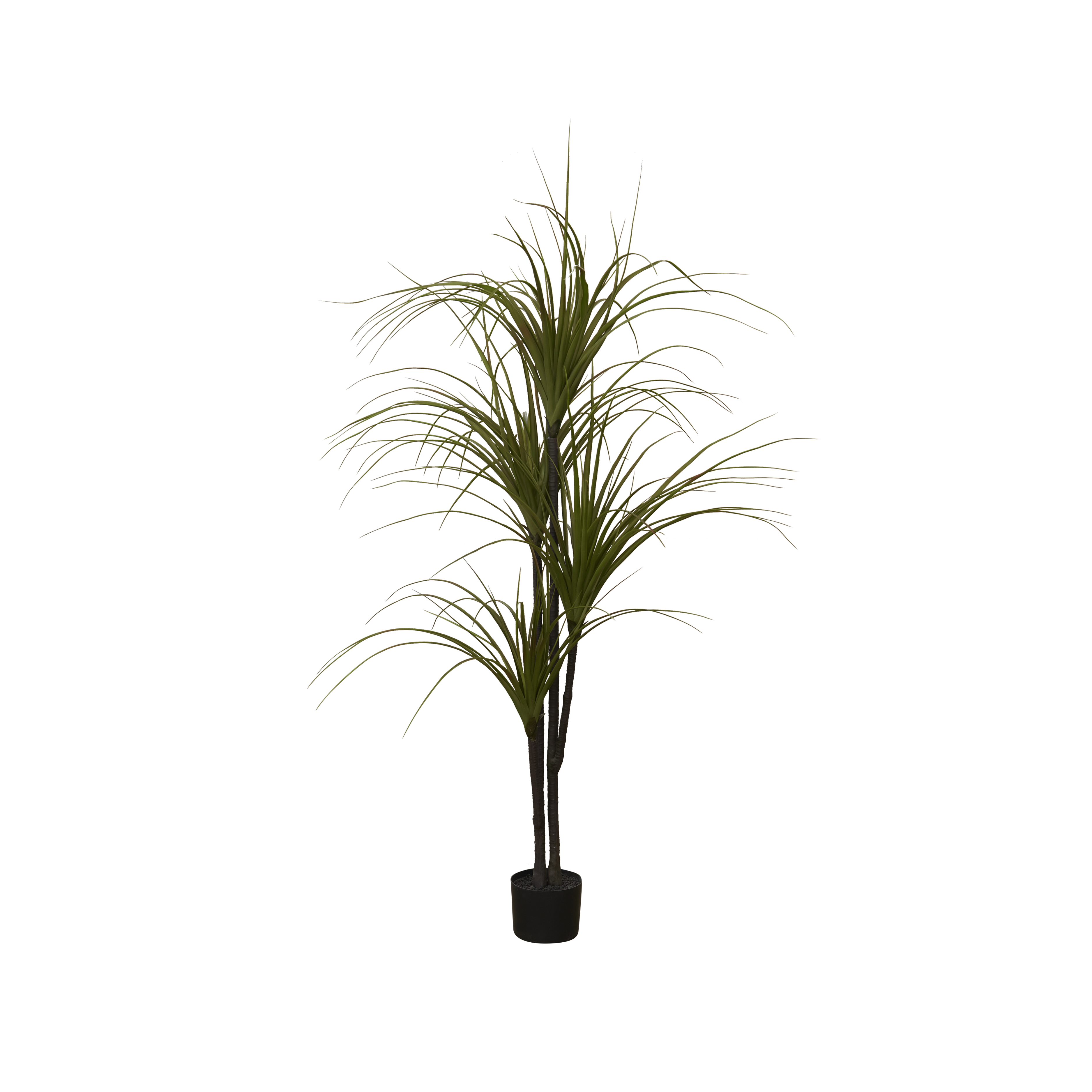 Potted Faux Dragon Tree 150 cm, Botanicals by HipVan HipVan