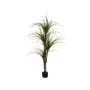 Potted Faux Dragon Tree 150 cm - 0