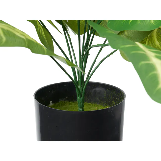 Potted Faux Syngonium Plant 42 cm - 7 - Green plant with broad leaves, green stems, black pot, indoor setting, indoor plant