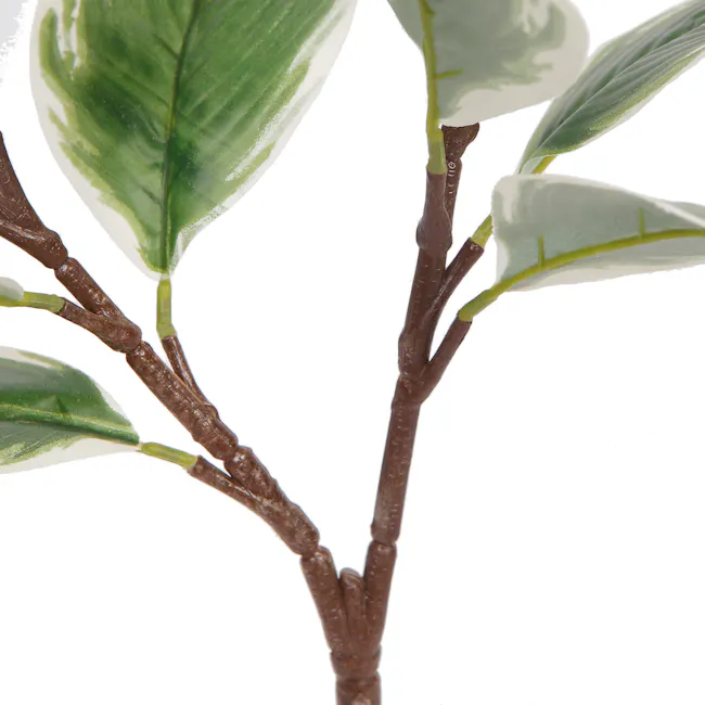 Potted Faux Rubber Fig Plant 70 cm - 5 - Green leafy branch, leaf veins, leaf surface texture, stem and leaf arrangement