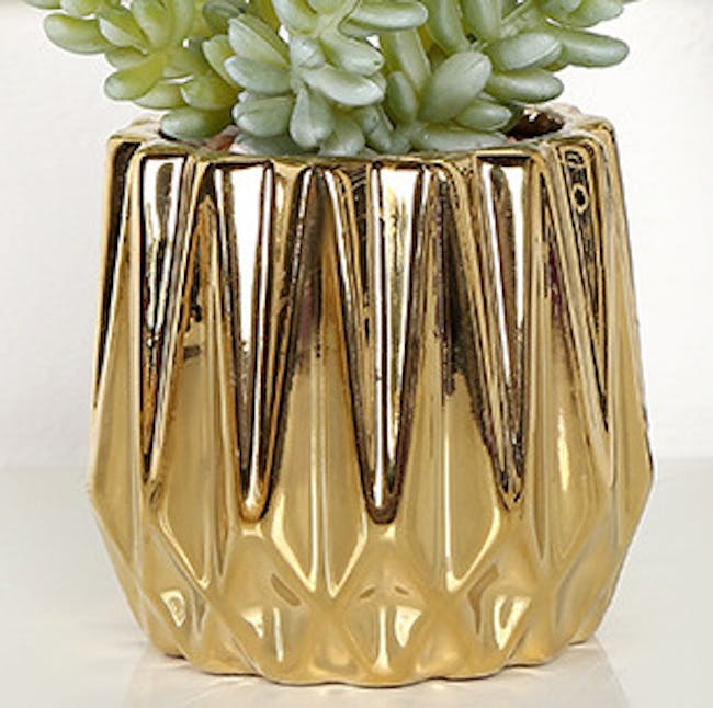 Faux Burro's-tail in Gold Planter - 3