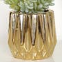 Faux Burro's-tail in Gold Planter - 3