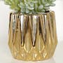 Faux Burro's-tail in Gold Planter - 4