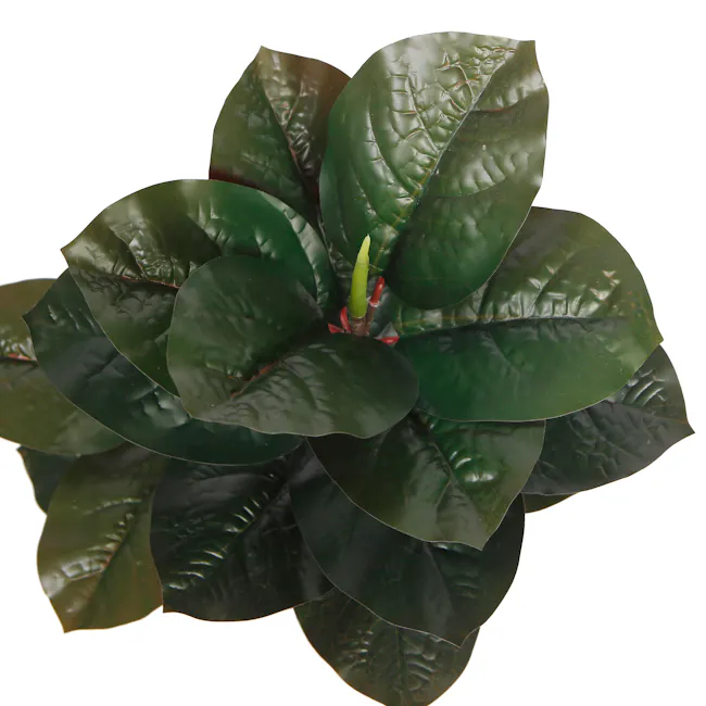 Potted Faux Dark Rubber Plant 70 cm - 5 - Green glossy leaves, glossy surface, deep green color, oval shape, smooth texture