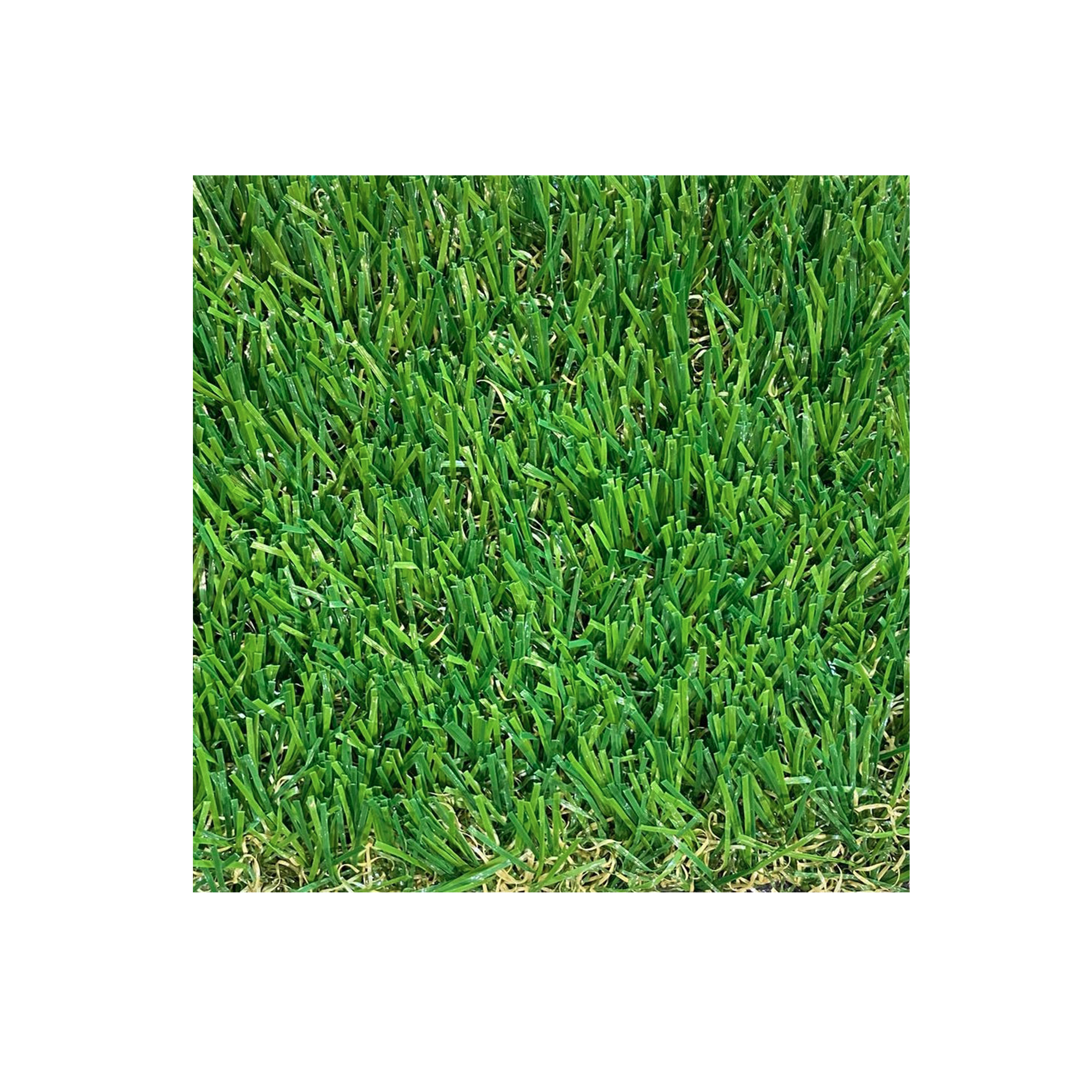 Meadow Grass Carpet, Heritage Carpets HipVan