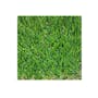 Meadow Grass Carpet - 0