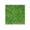 Meadow Grass Carpet - 0