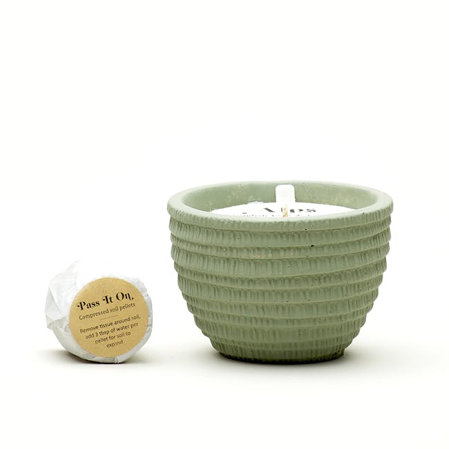 Pass It On Plantable Candles - Alps - 4