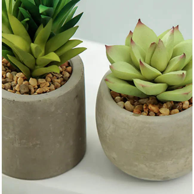 Faux Triple Bunch in Concrete Planter - 5 - Two potted succulent plants in modern concrete pots, Succulent plants with green