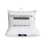 Rinco Bonington Charcoal Memory Foam Pillow (3 Types) - 2