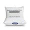 Rinco Bonington Charcoal Memory Foam Pillow (3 Types) - 1