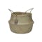 ecoHOUZE Seagrass Plant Basket With Handles - Natural (2 Sizes) - 0