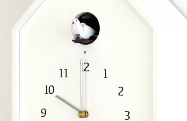 Birdhouse Clock - White - 4