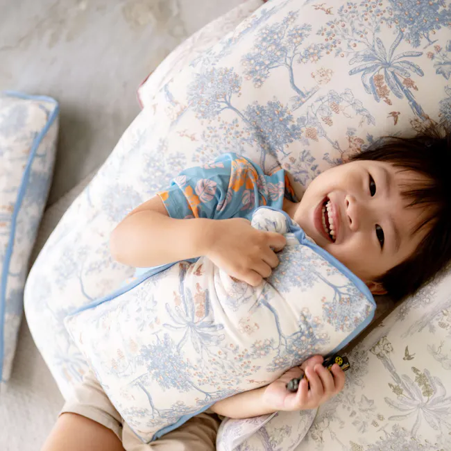 House of Holly Luxe Cloud Pillow - Fruit Toile Blueberry (3 sizes) - 4