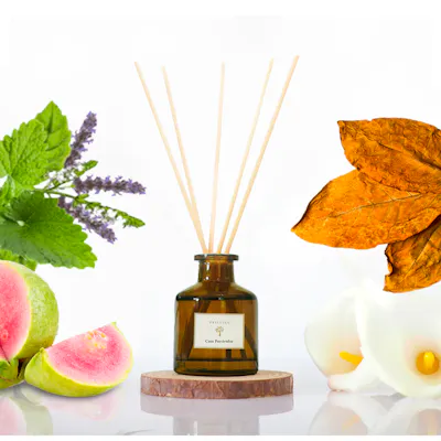 Pristine Aroma Reed Diffuser Hotel Scent - Casa Particular (2 Sizes)