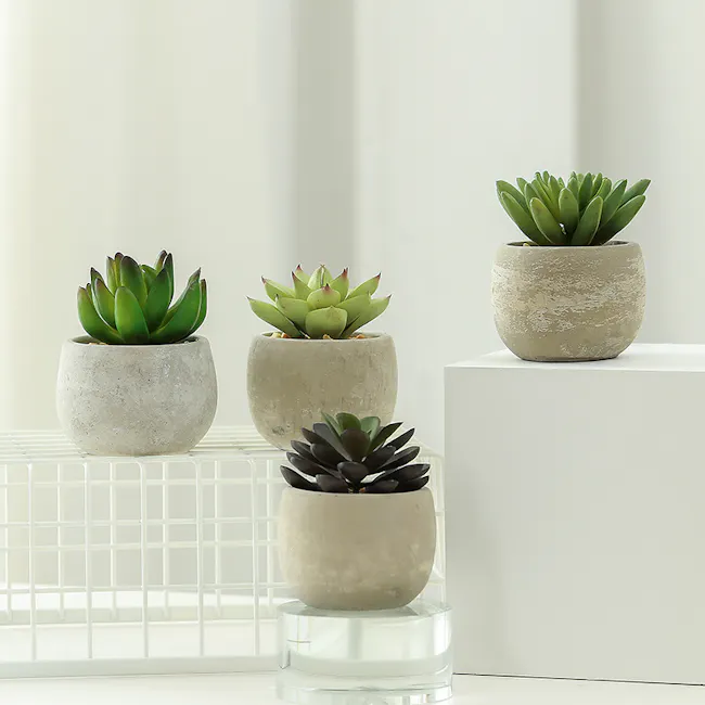 Faux Echeveria with Red Tips in Concrete Planter - 4 - Succulents in various stages of growth, ceramic pots, minimalist