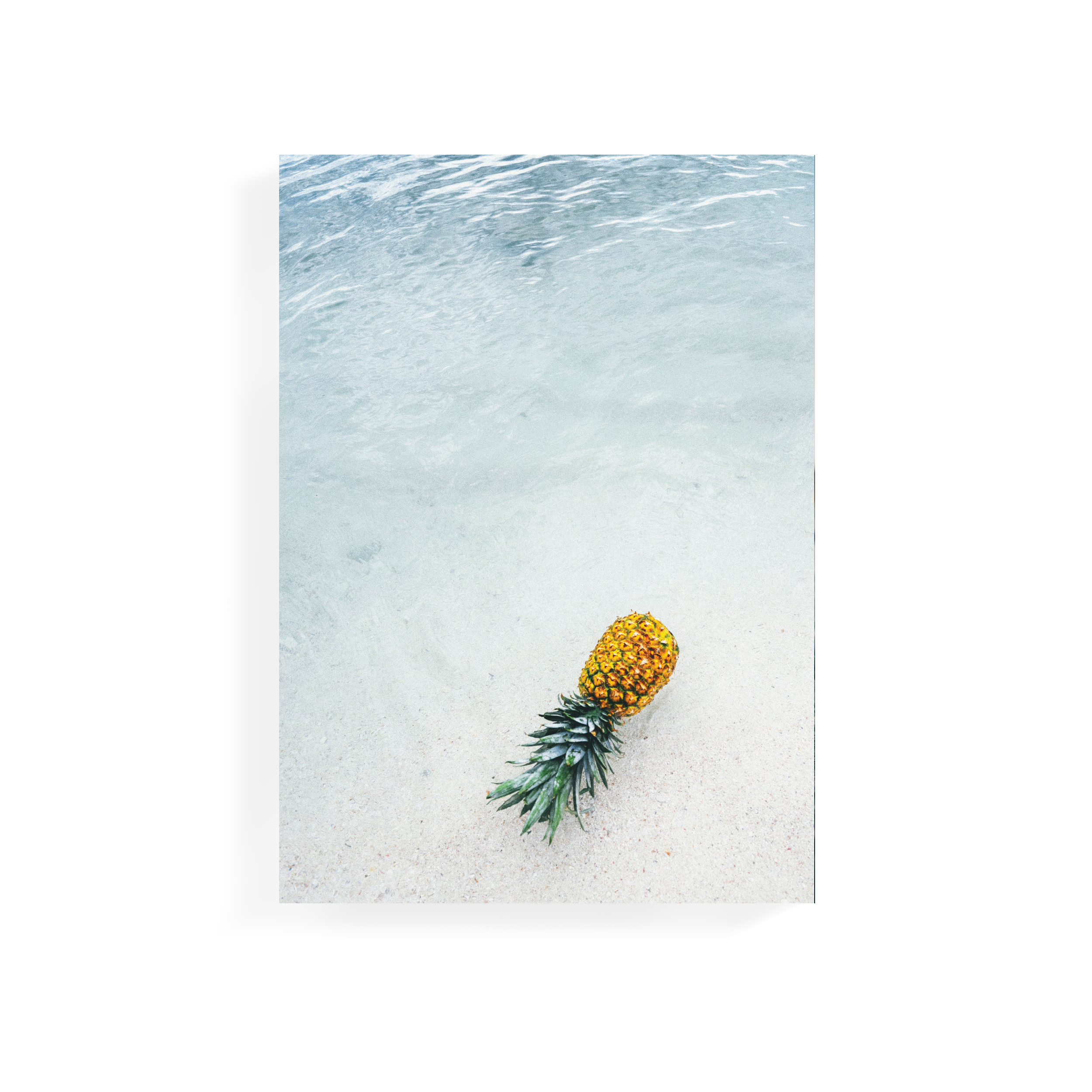 (Display Piece) Tropical Art Print on Stretched Canvas 50cm by 70cm - Pineapple