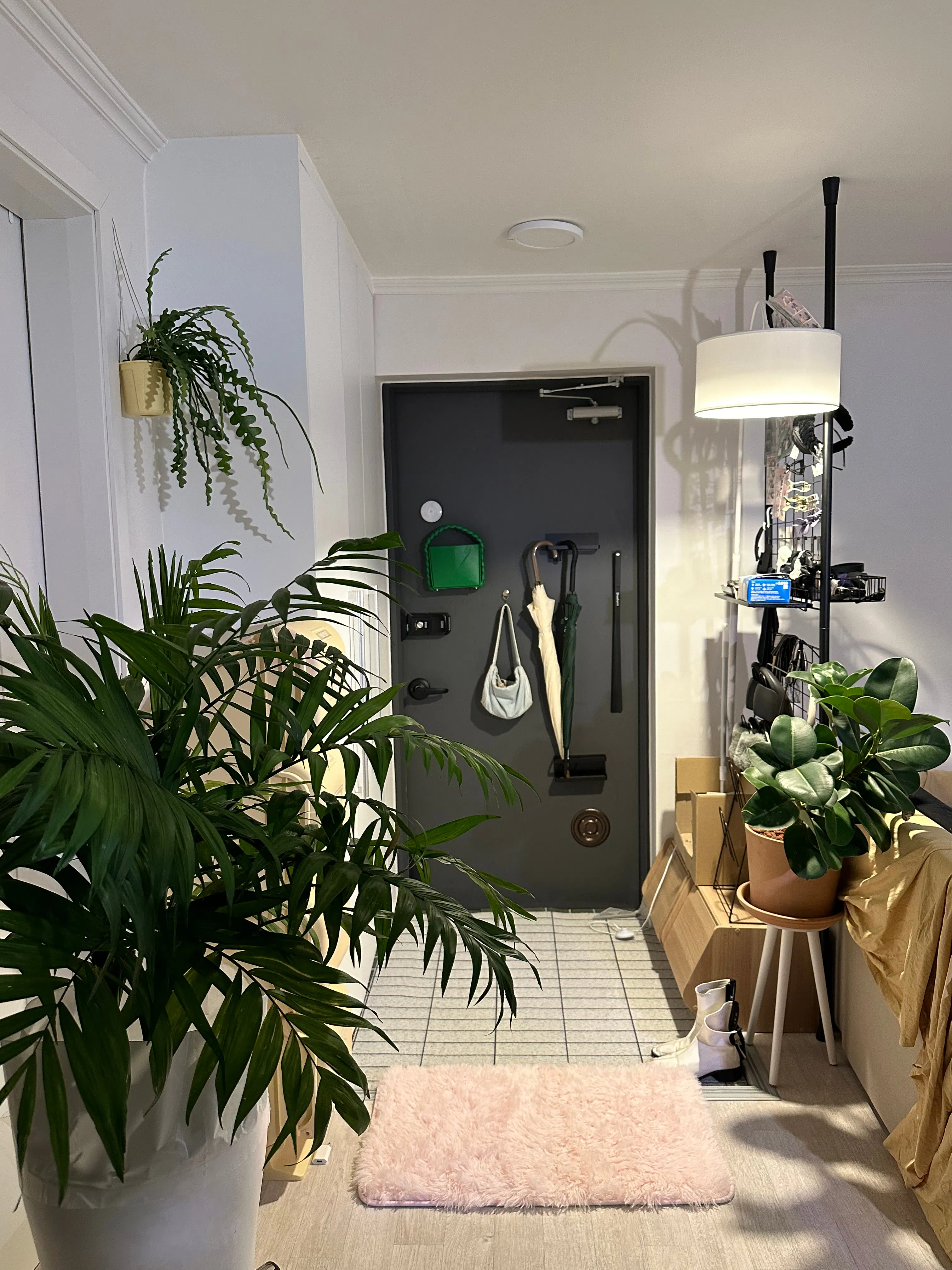 Customer home photo 3