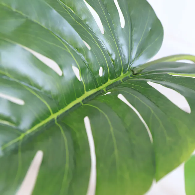 Potted Faux Monstera Plant 90 cm - 3 - Green glossy leaf with white veins, large heart-shaped structure, prominent veins