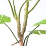 Potted Faux Monstera Plant 90 cm - 3