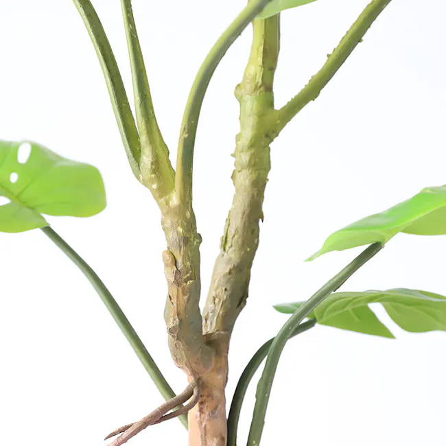 Potted Faux Monstera Plant 90 cm - 4 - Green plant with visible roots and stems, showcasing healthy growth, glossy leaves