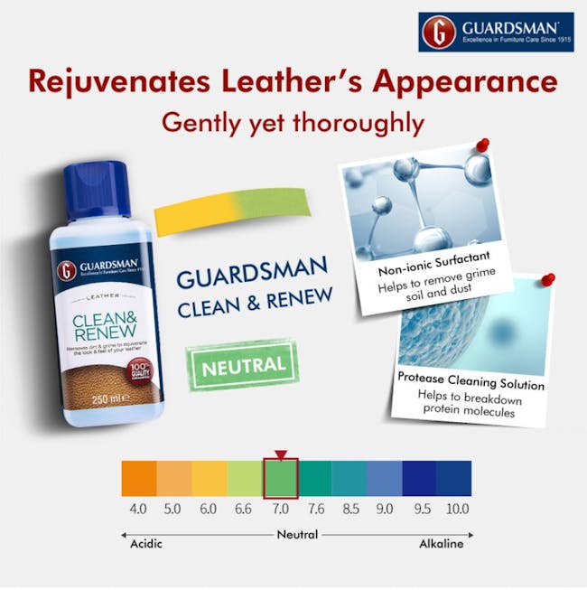 Guardsman Leather Clean & Renew - 2
