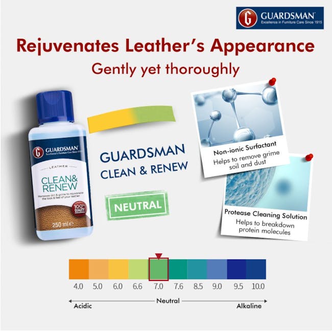 Guardsman Leather Clean & Renew - 3 - Leather rejuvenation, gentle yet thorough cleaning, GUARDSMAN CLEAN & RENEW neutral